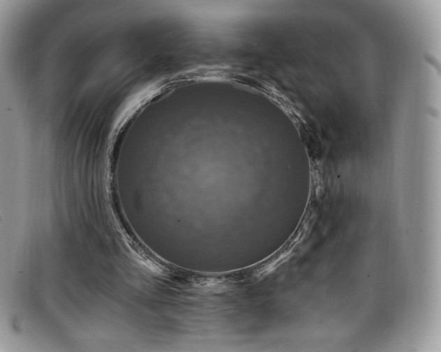 X0000099320293200805021319