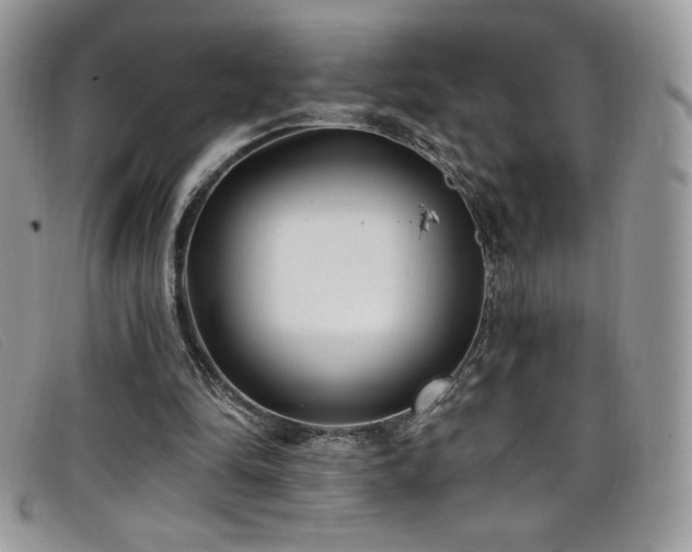 X0000099320294200805021319