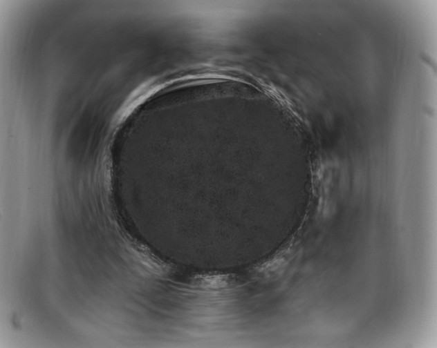 X0000099320295200805021319