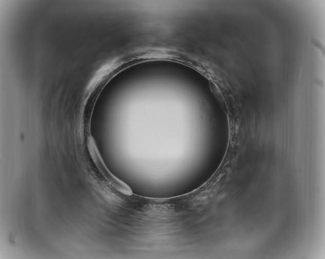 X0000099320296200805021319