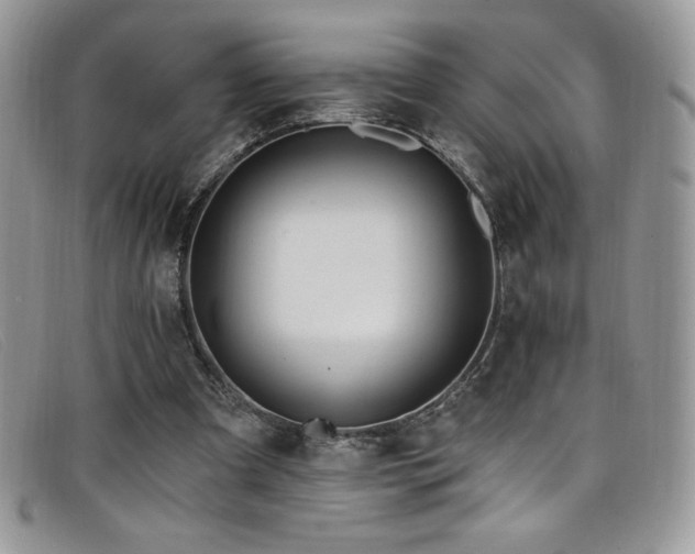 X0000099320297200805021319