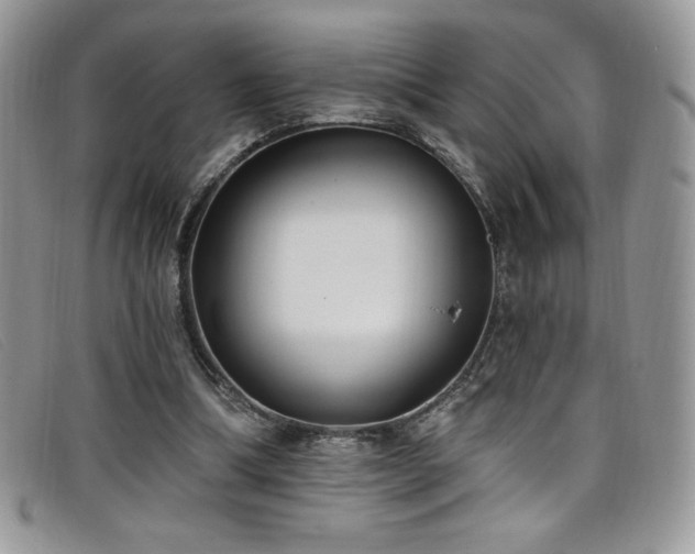 X0000099320298200805021319