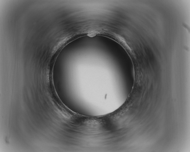 X0000099320299200805021319