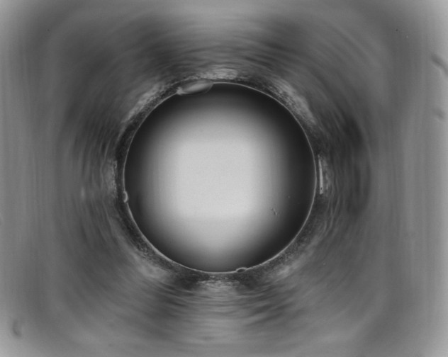 X0000099320300200805021319