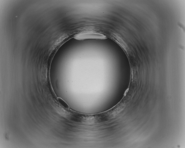 X0000099320301200805021319