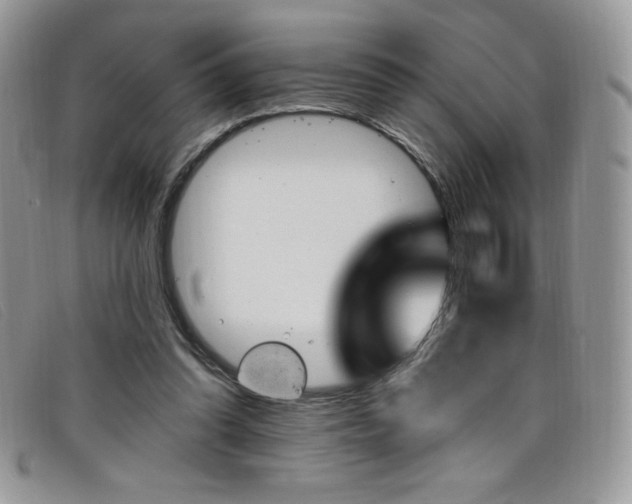 X0000099320302200805021319