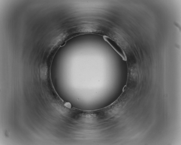 X0000099320304200805021319