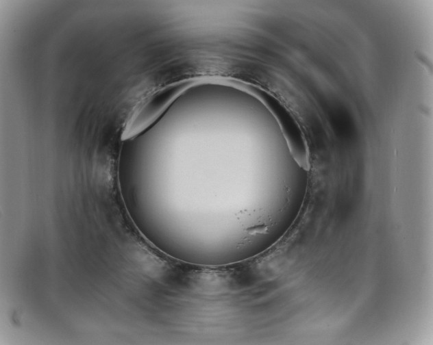 X0000099320305200805021319