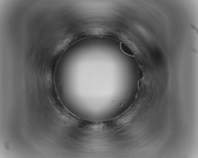 X0000099320306200805021319