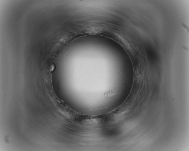 X0000099320307200805021319