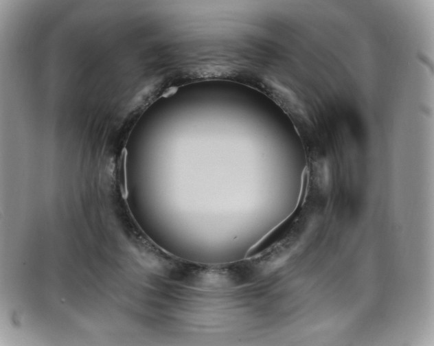 X0000099320308200805021319