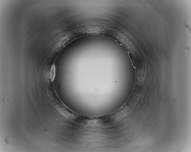 X0000099320309200805021319