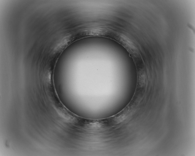 X0000099320310200805021319