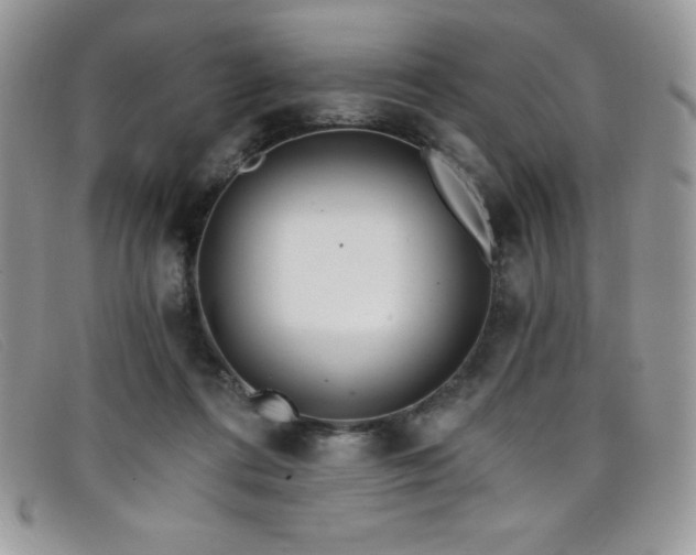 X0000099320312200805021319