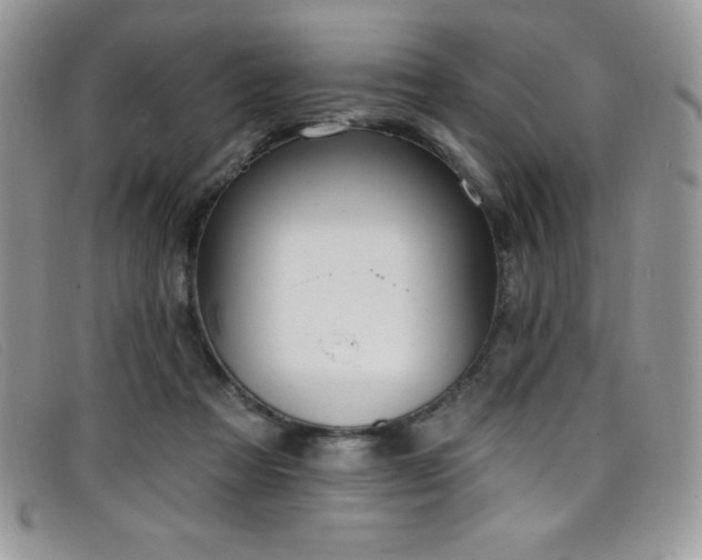 X0000099320313200805021319