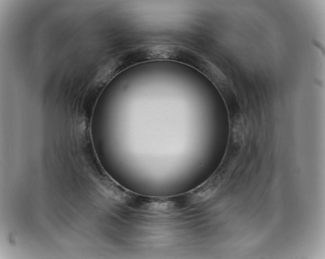 X0000099320314200805021319