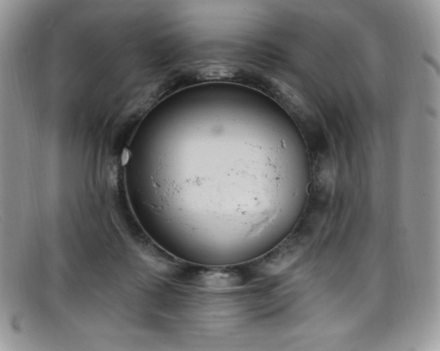 X0000099320315200805021319