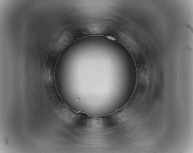 X0000099320317200805021319