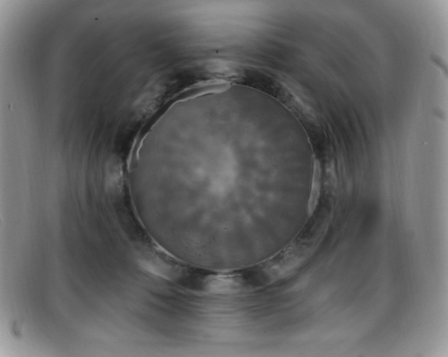 X0000099320320200805021319