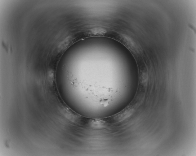 X0000099320321200805021319