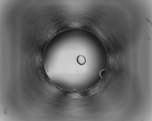 X0000099320322200805021319