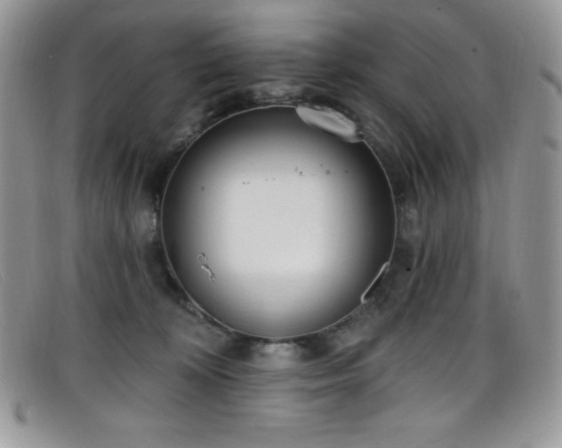 X0000099320324200805021319