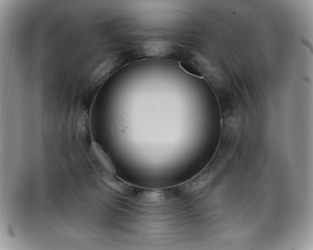 X0000099320325200805021319