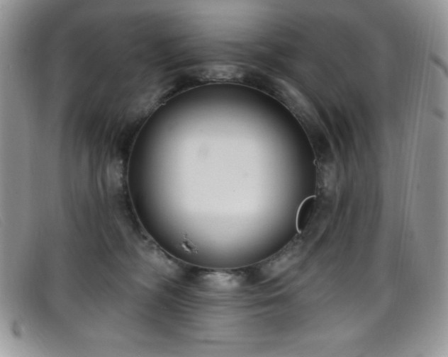 X0000099320326200805021319