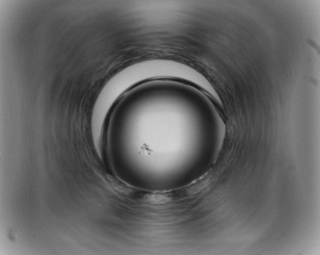 X0000099320327200805021319