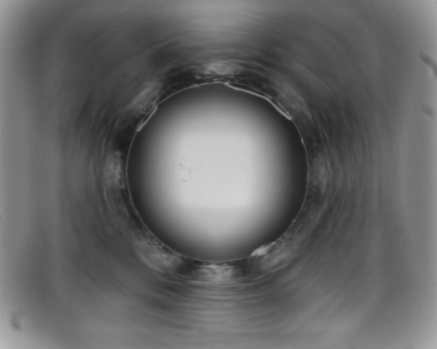 X0000099320328200805021319