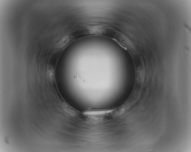 X0000099320329200805021319