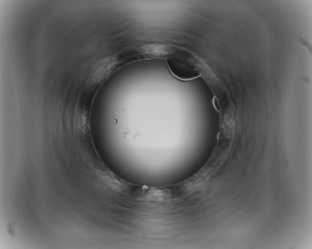 X0000099320330200805021319