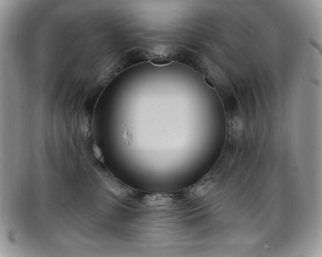 X0000099320331200805021319