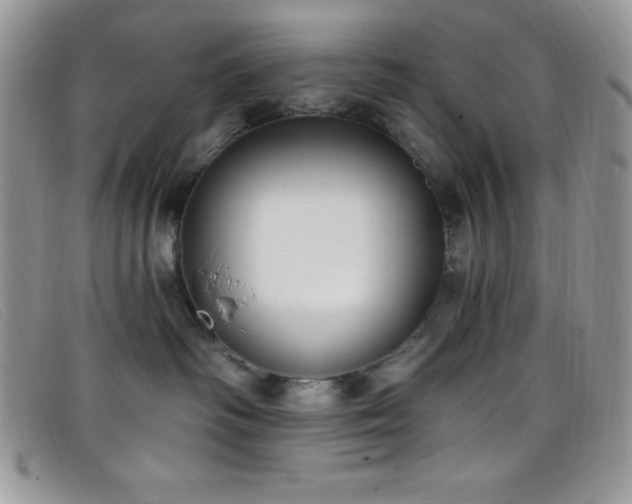 X0000099320334200805021319