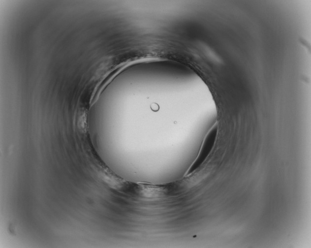 X0000099320336200805021318