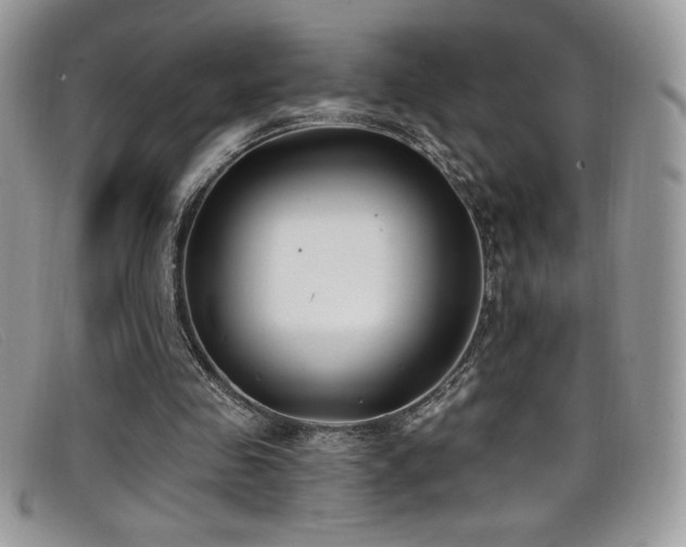 X0000099320341200805021318