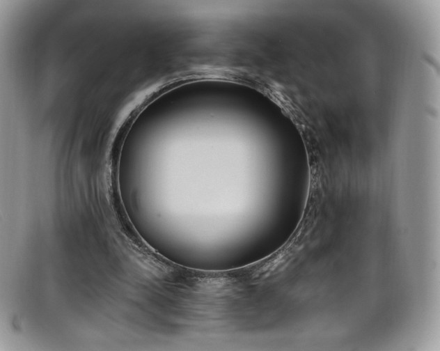 X0000099320342200805021318