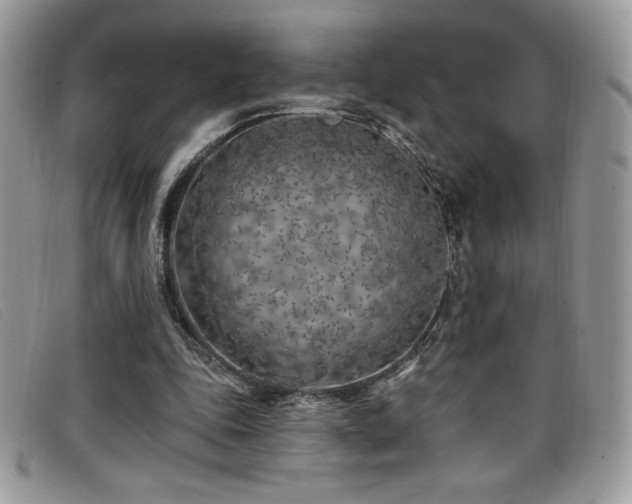 X0000099320343200805021318