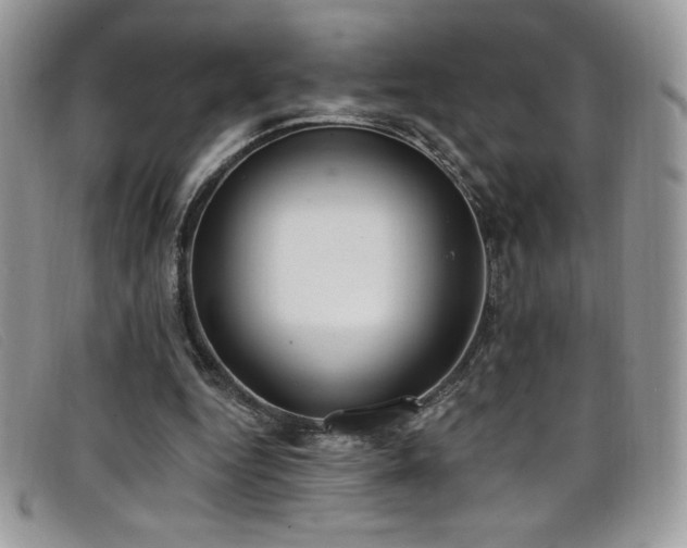 X0000099320344200805021318