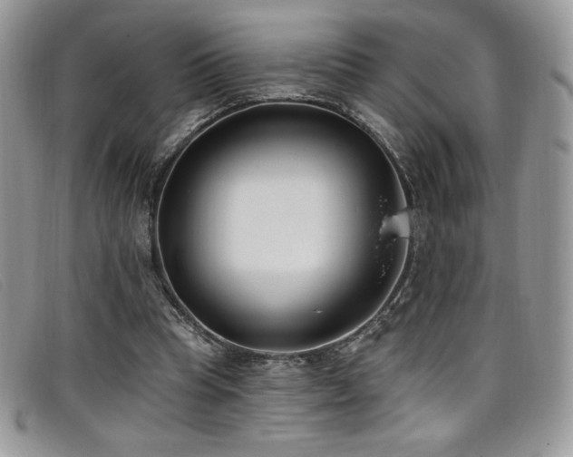 X0000099320345200805021318