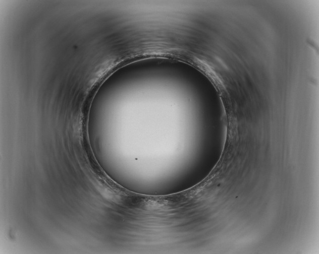 X0000099320346200805021318