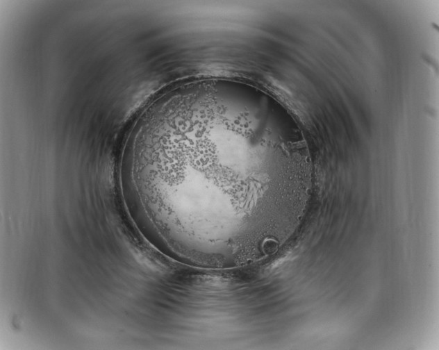 X0000099320347200805021318