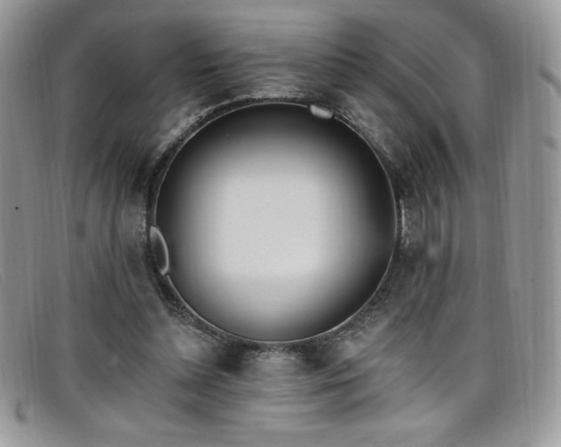 X0000099320348200805021318