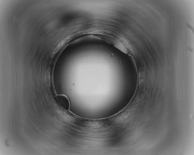 X0000099320349200805021318