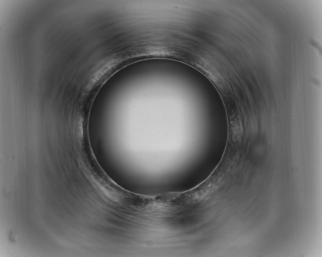 X0000099320350200805021318