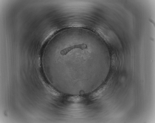 X0000099320351200805021318