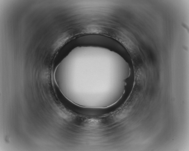 X0000099320352200805021318