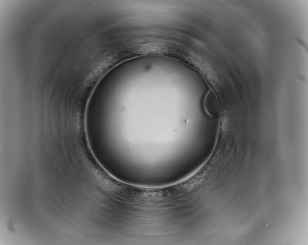 X0000099320353200805021318