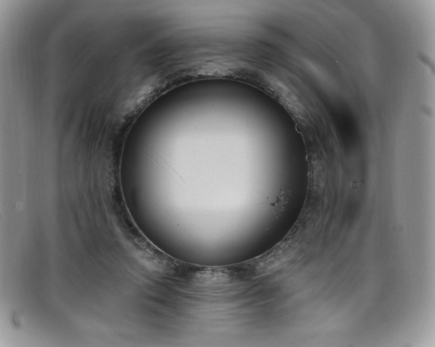 X0000099320354200805021318