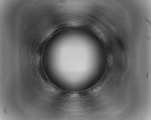 X0000099320355200805021318